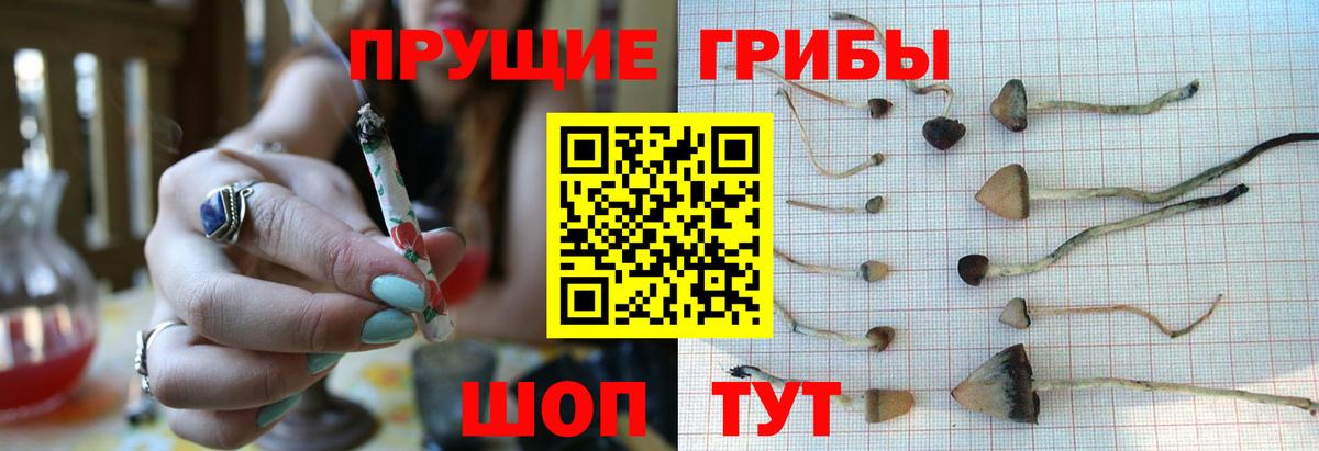 Галлюциногенные грибы Magic Shrooms Зеленокумск
