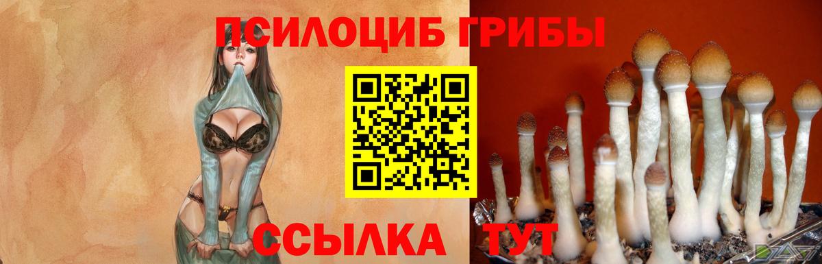 Псилоцибиновые грибы Psilocybe  Вход с VPN  Зеленокумск  Псилоцибиновые грибы Magic Shrooms 